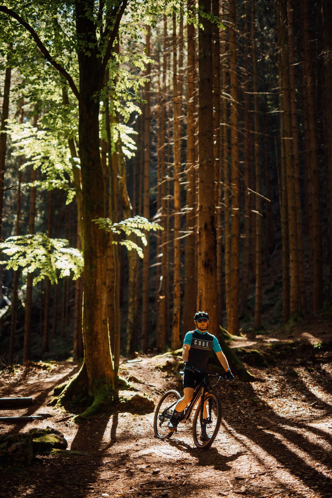 Mountainbiker im sonnendurchfluteten Wald der Rad-Region rund um den Inselsberg