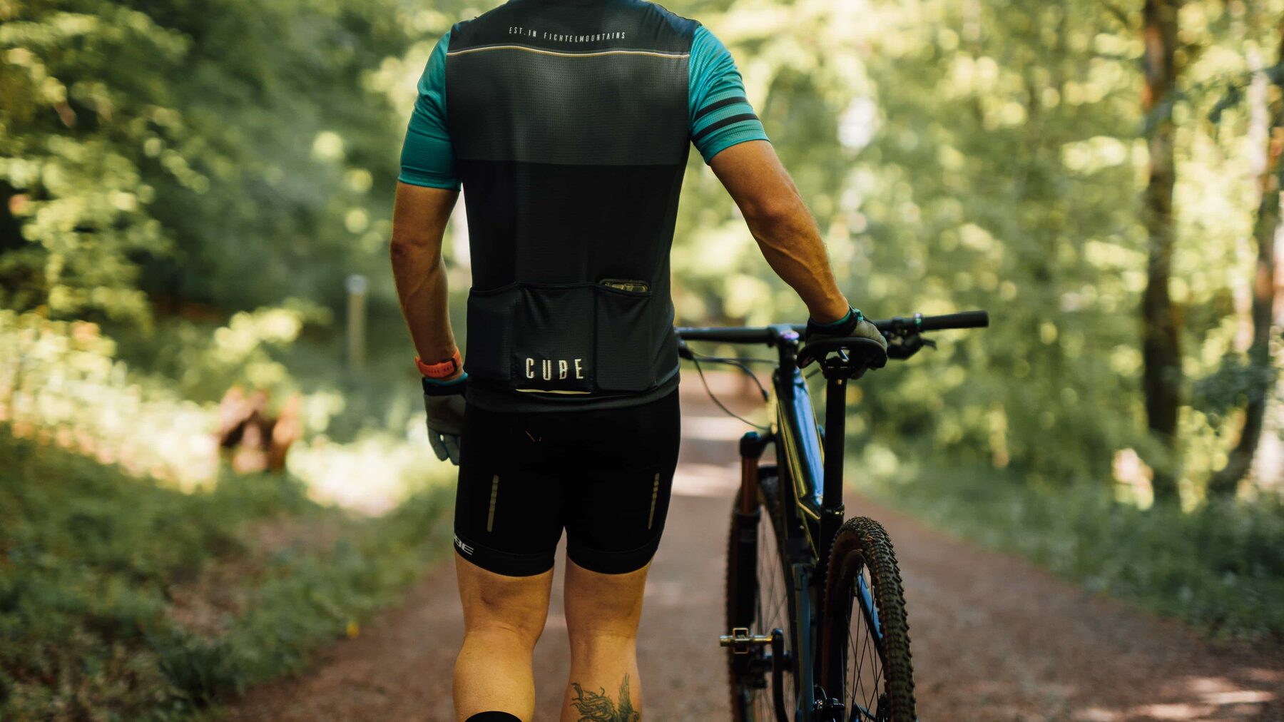 Mountainbiker auf Waldtrail rund um den Inselsberg im Thüringer Wald
