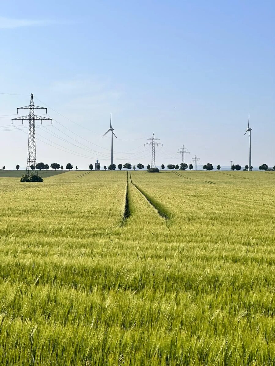 Weites Getreidefeld mit Windrädern am Horizont – Komoot Tour mit Inselsbergblick rund um Bad Tabarz