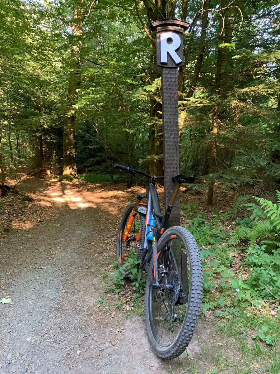 Mountainbike am Rennsteig-Wegweiser im Wald – Komoot-Tour Ride MTB Day rund um Bad Tabarz